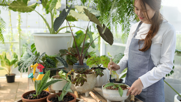 The Best Low-Care Plants That Thrive on Neglect