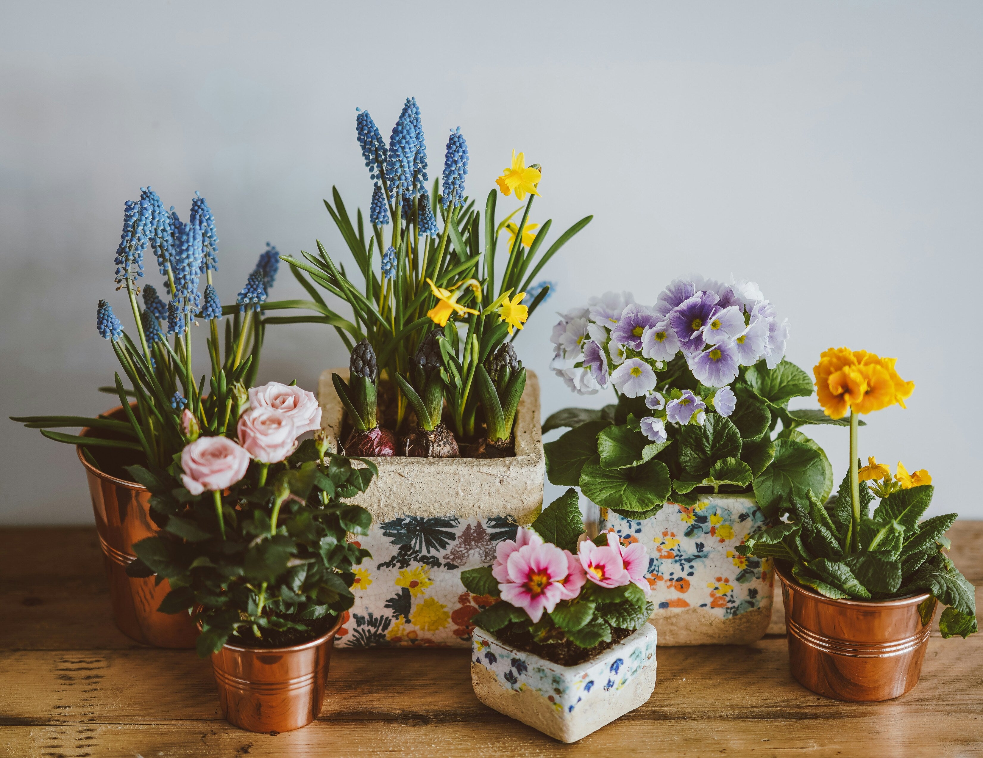 annie spratt flower pots