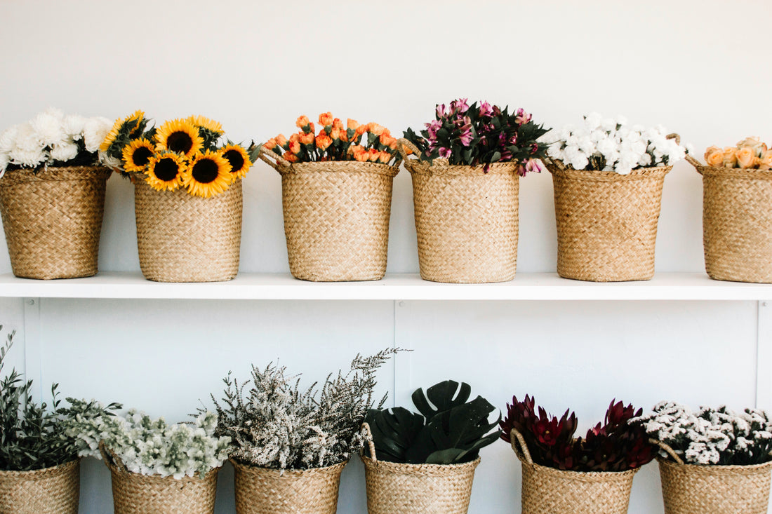 Beautiful flowered plants